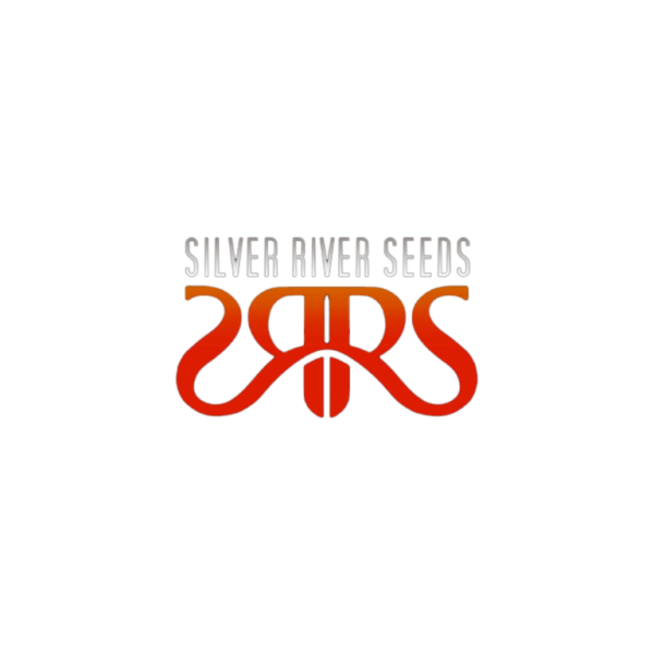 SILVER RIVERS SEEDS | Cherry Banana X 5 Auto