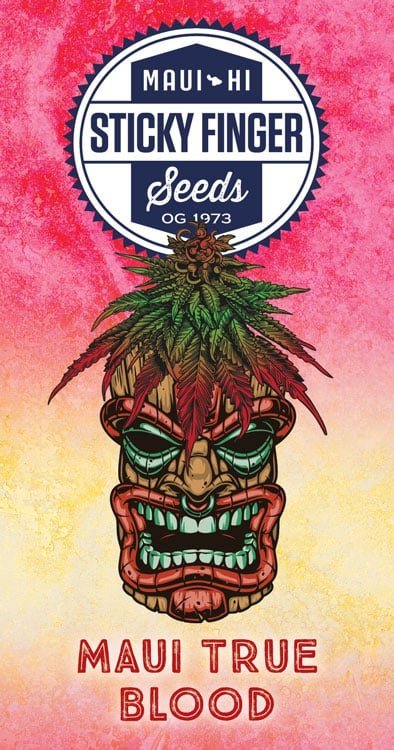 Maui-True-Blood Maui true blood sticky finger (ziolock seeds)