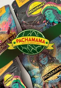pachamama-vertical Mix Auto Pachamama x6