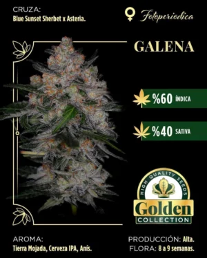 whatsapp-image-2026-02-14-at-1-40-21-pm-8f83397f70dcf163a617710904953283-1024-1024 Galena-Golden Collection x3